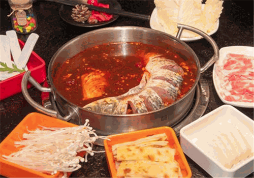 【四同活魚(yú)鍋】餐飲管理 從鮮活到火鍋的品質(zhì)之旅
